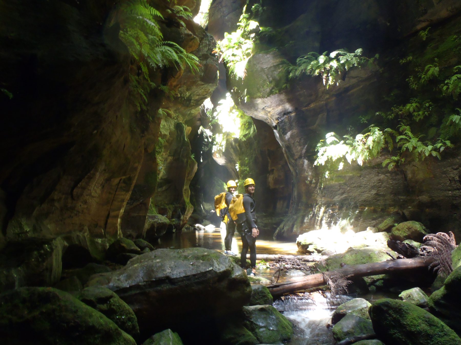 Twister Canyon & Rocky Creek | High and Wild