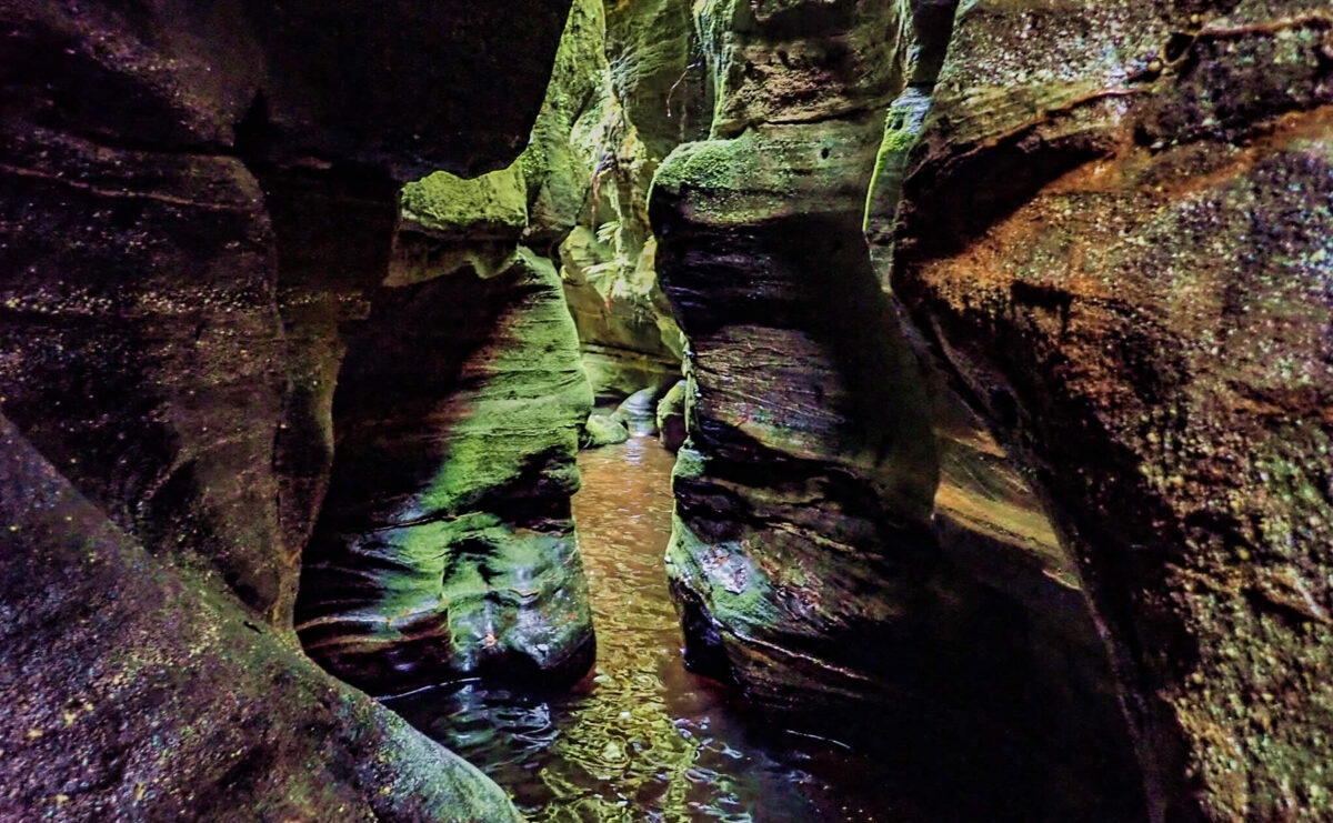 Summer Canyoning in the Blue Mountains | High and Wild